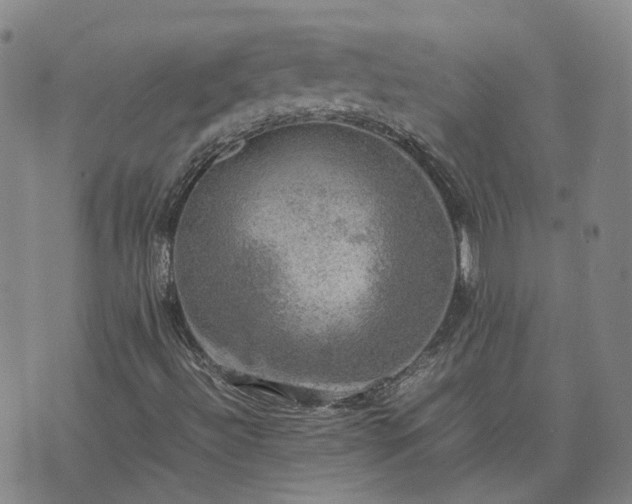 X0000074231492200609011228