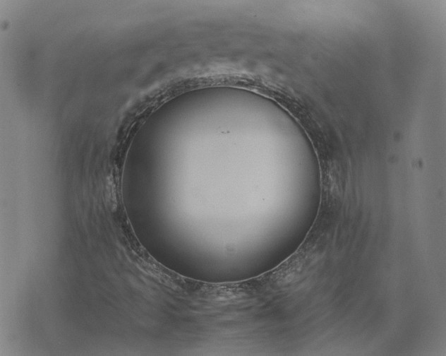 X0000074231493200609011228