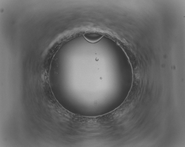 X0000074231495200609011228