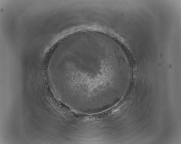 X0000074231496200609011228