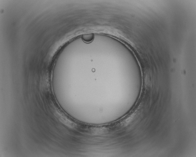 X0000074231498200609011229