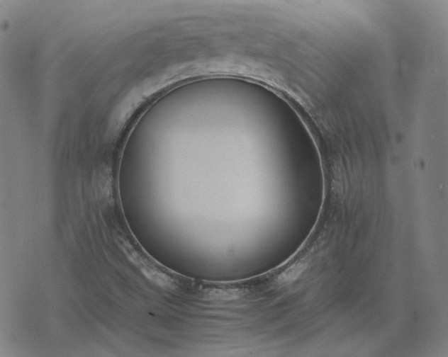 X0000074231499200609011229