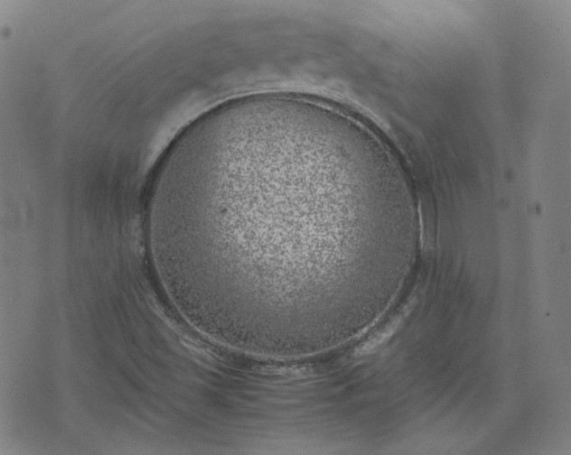 X0000074231501200609011229