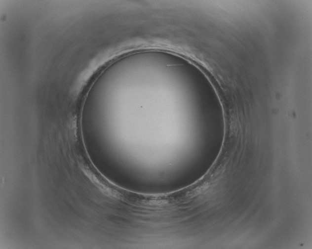 X0000074231503200609011229