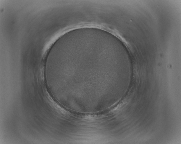 X0000074231504200609011229