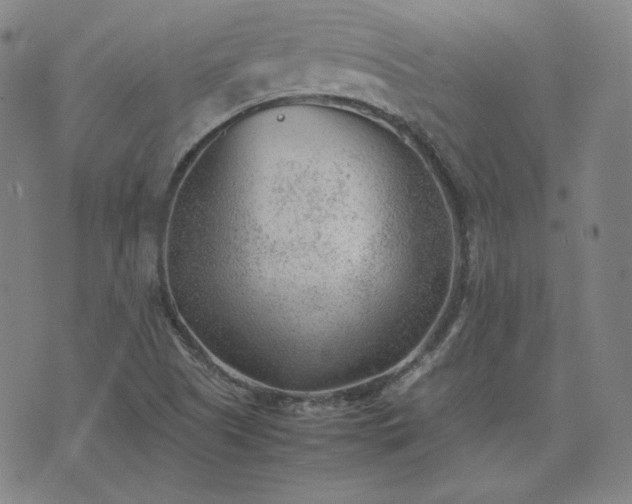 X0000074231505200609011229