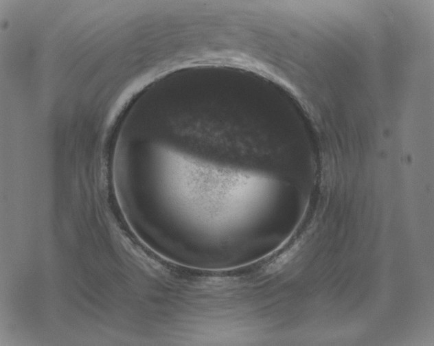 X0000074231506200609011229