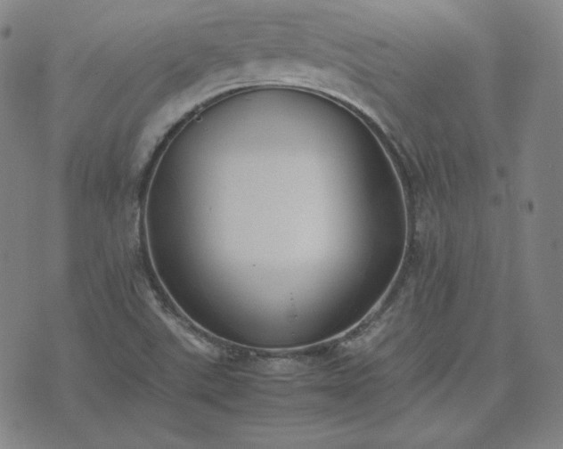 X0000074231507200609011229