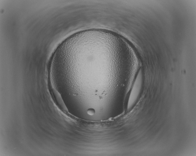 X0000074231508200609011229