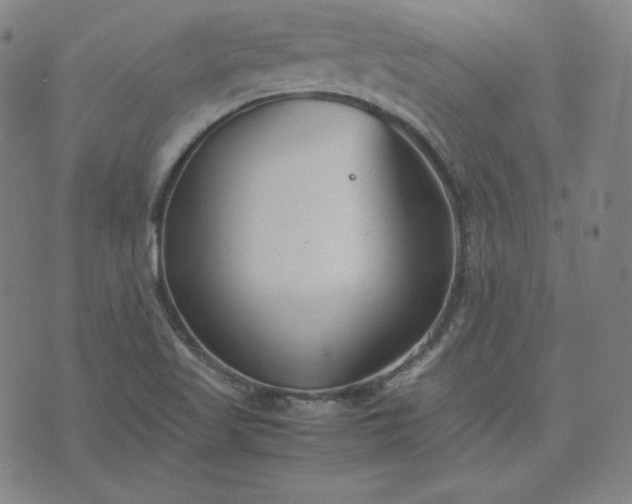 X0000074231509200609011229