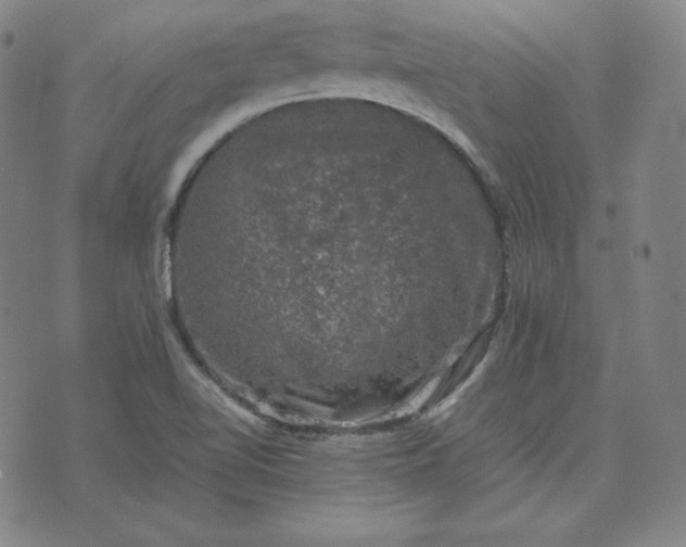 X0000074231510200609011229