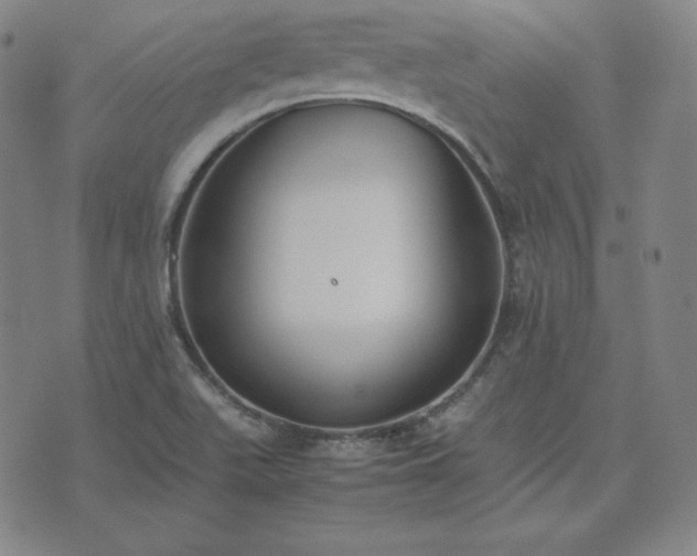 X0000074231511200609011229