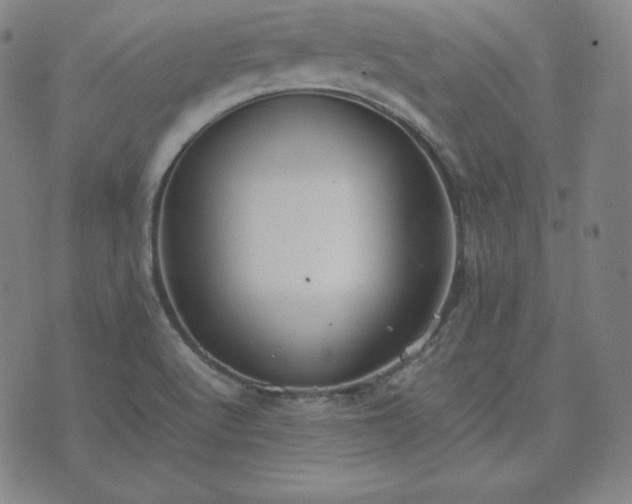 X0000074231512200609011229