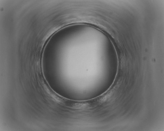 X0000074231513200609011229