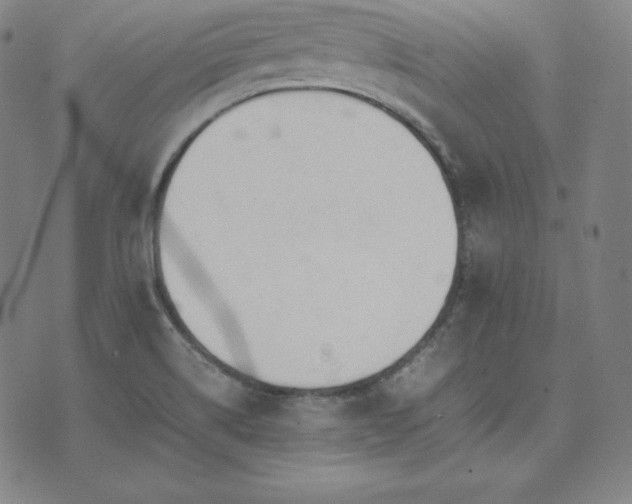 X0000074231514200609011229