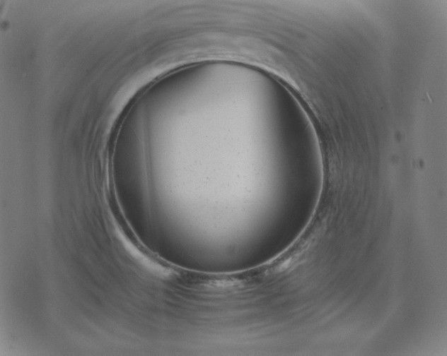 X0000074231515200609011229