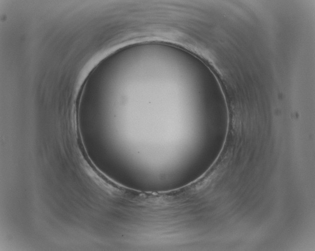 X0000074231516200609011229