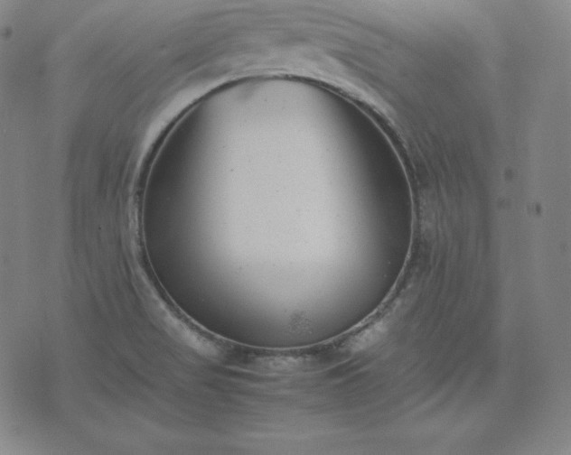 X0000074231517200609011229