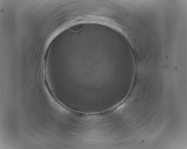 X0000074231522200609011229