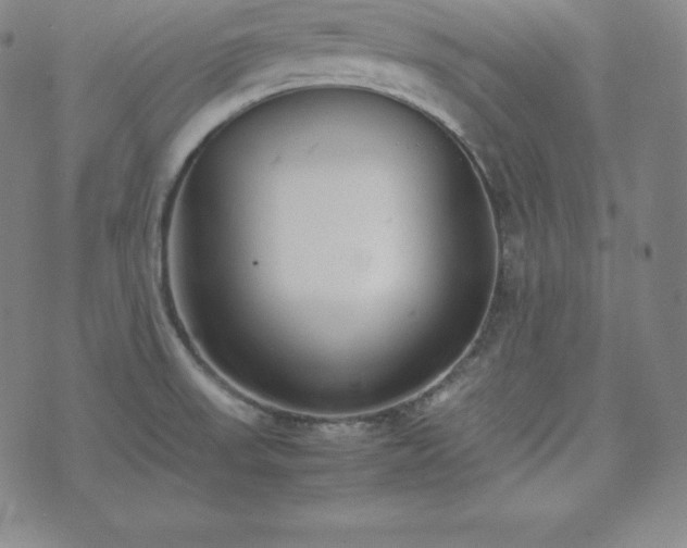 X0000074231523200609011229