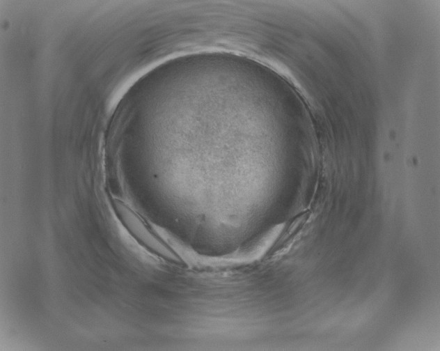 X0000074231524200609011229