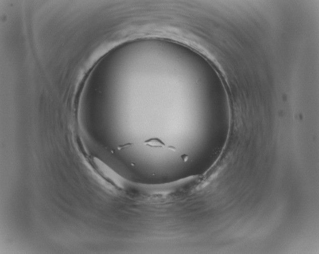 X0000074231525200609011229