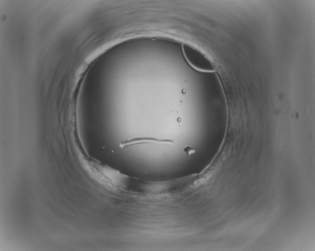 X0000074231526200609011229