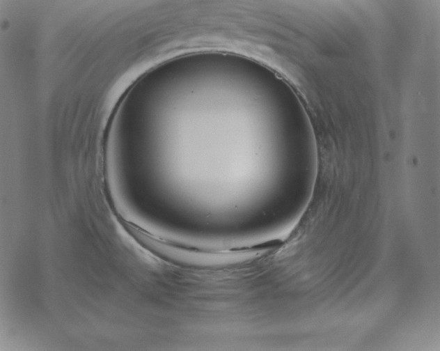 X0000074231527200609011229