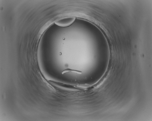 X0000074231529200609011229