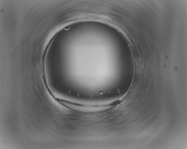 X0000074231531200609011229