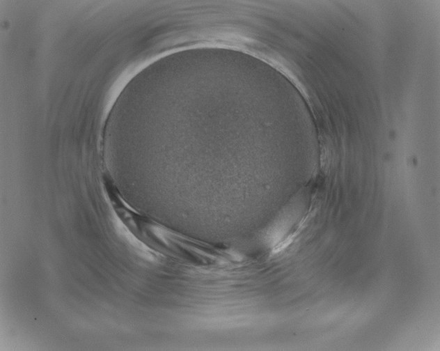 X0000074231532200609011229