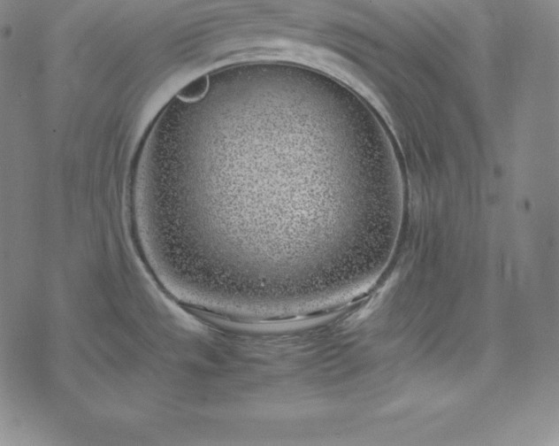 X0000074231533200609011229