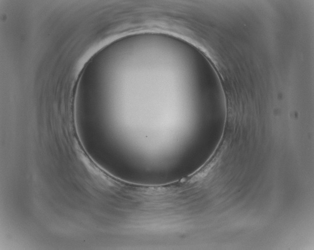 X0000074231534200609011229