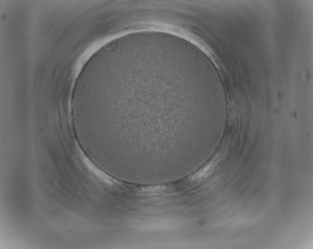 X0000074231535200609011229