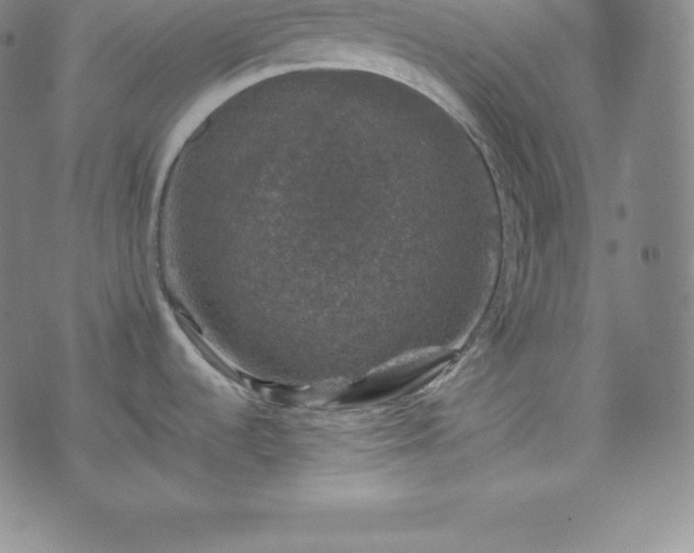 X0000074231536200609011229