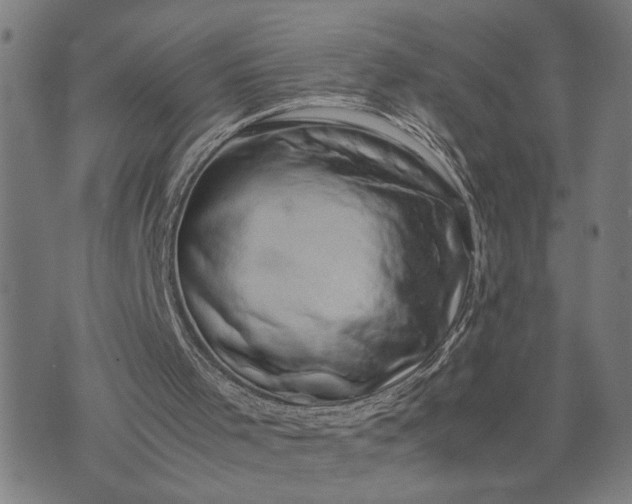 X0000074230001200609081633