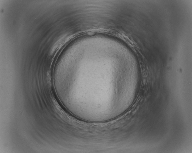 X0000074230002200609081633