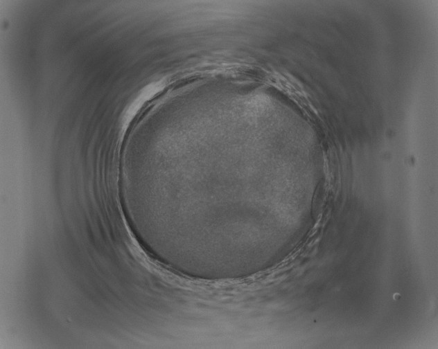 X0000074230003200609081633