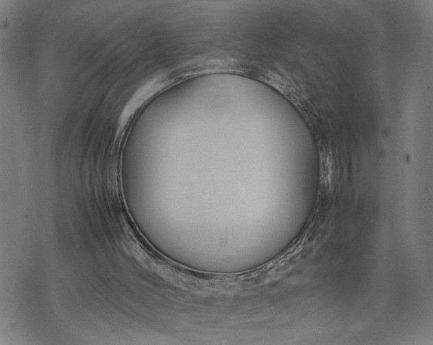 X0000074230004200609081633