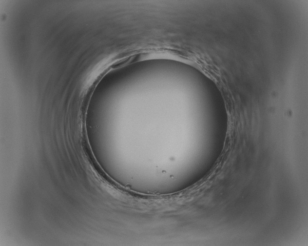 X0000074230005200609081633