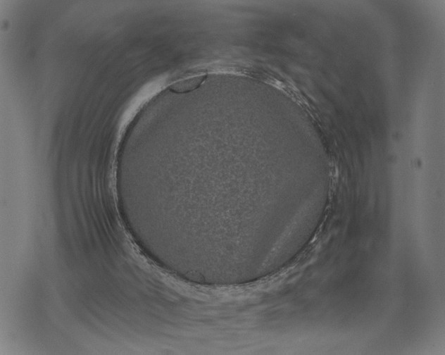 X0000074230006200609081633