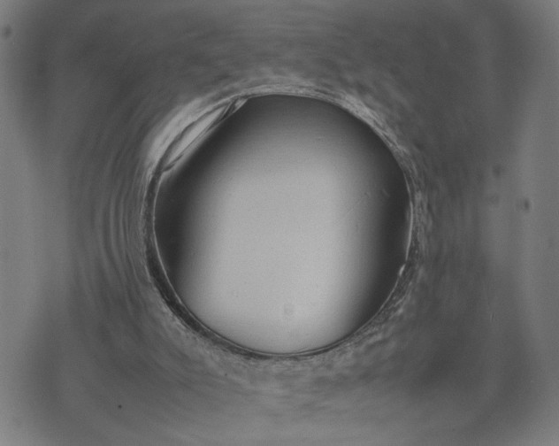 X0000074230007200609081633