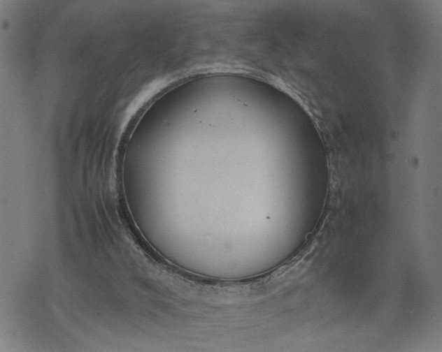 X0000074230008200609081632