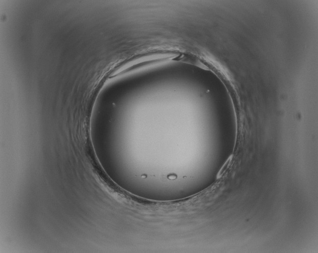 X0000074230009200609081632