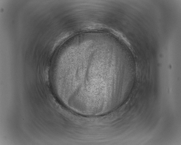 X0000074230010200609081632