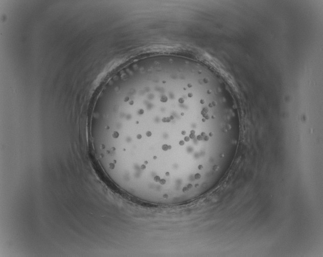 X0000074230011200609081632