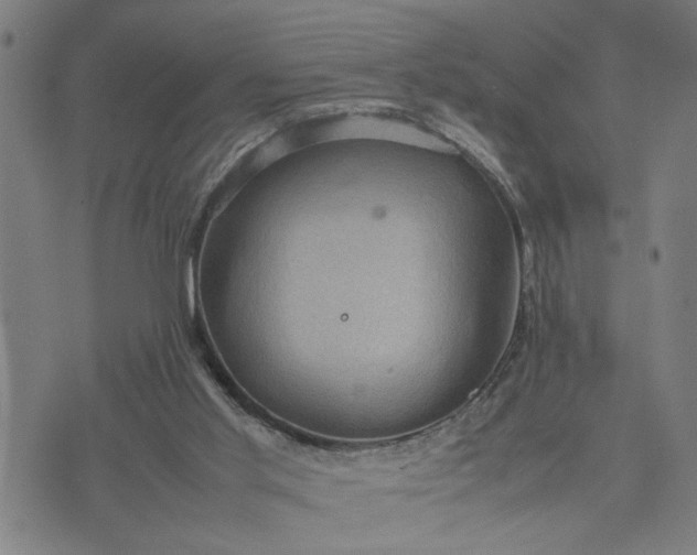 X0000074230013200609081632