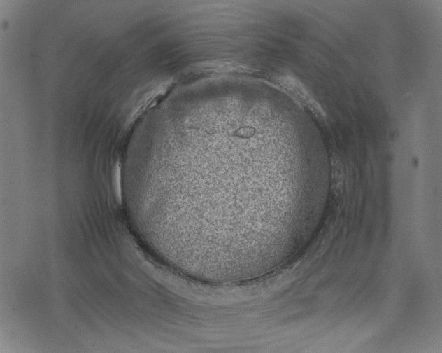 X0000074230014200609081632