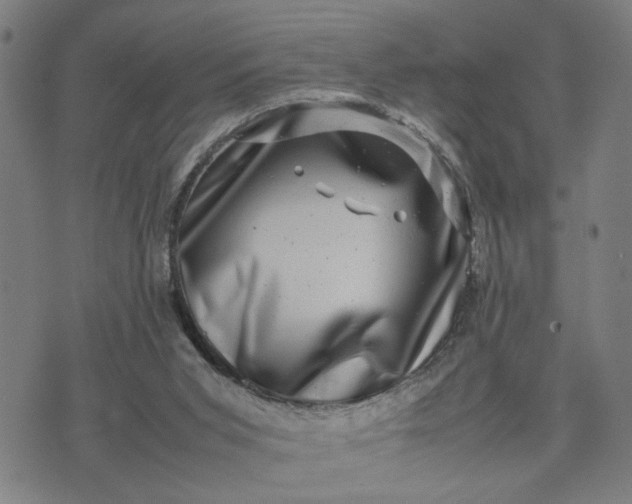 X0000074230015200609081632