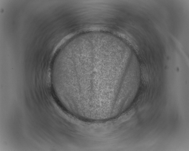 X0000074230016200609081632